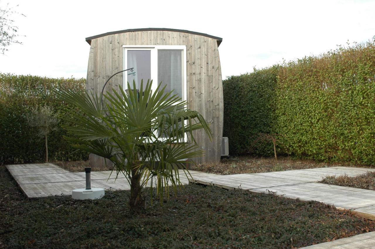 Twinkeling Lights Bed & Breakfast Kluisbergen Exterior foto